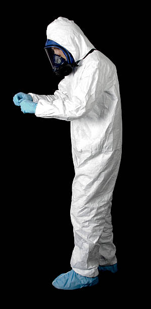 Professional Mold Removal in Westfield, MA